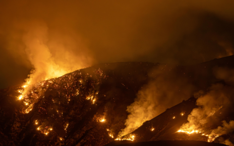 Sunset Fire Hollywood Hills 2025: Impact on the Iconic Hollywood Sign and Latest Updates